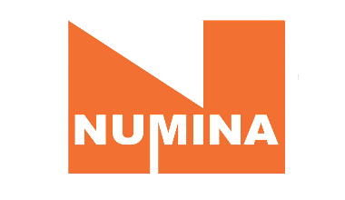 Логотип проекта NUMINA